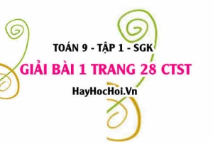 Bài 1 trang 28 Toán 9 tập 1 Chân trời sáng tạo SGK